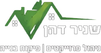 שניר דהן, פיקוח וניהול פרויקטים